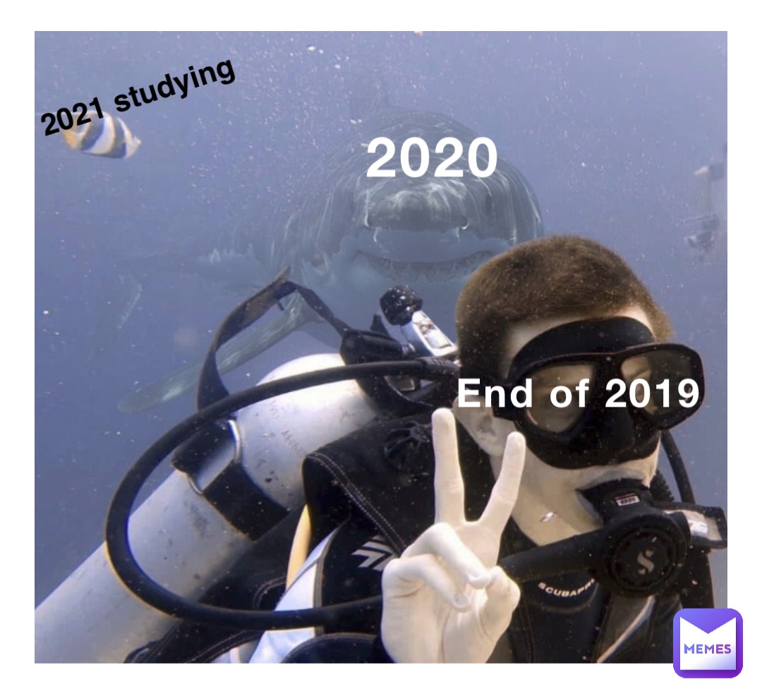 2020 End of 2019 2021 studying