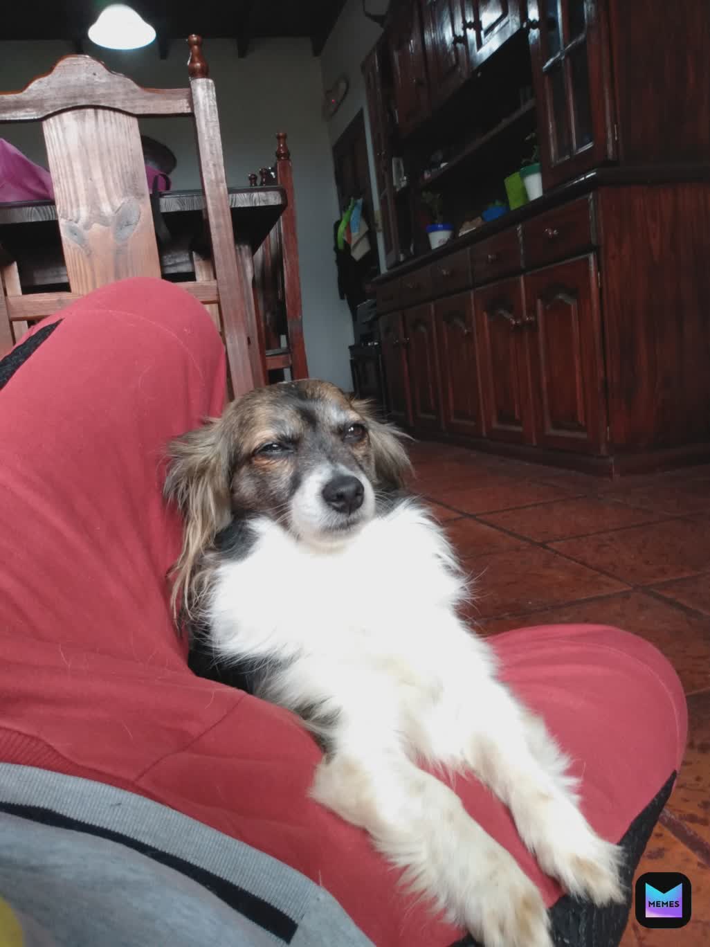 Meme by Rileythedogmaster