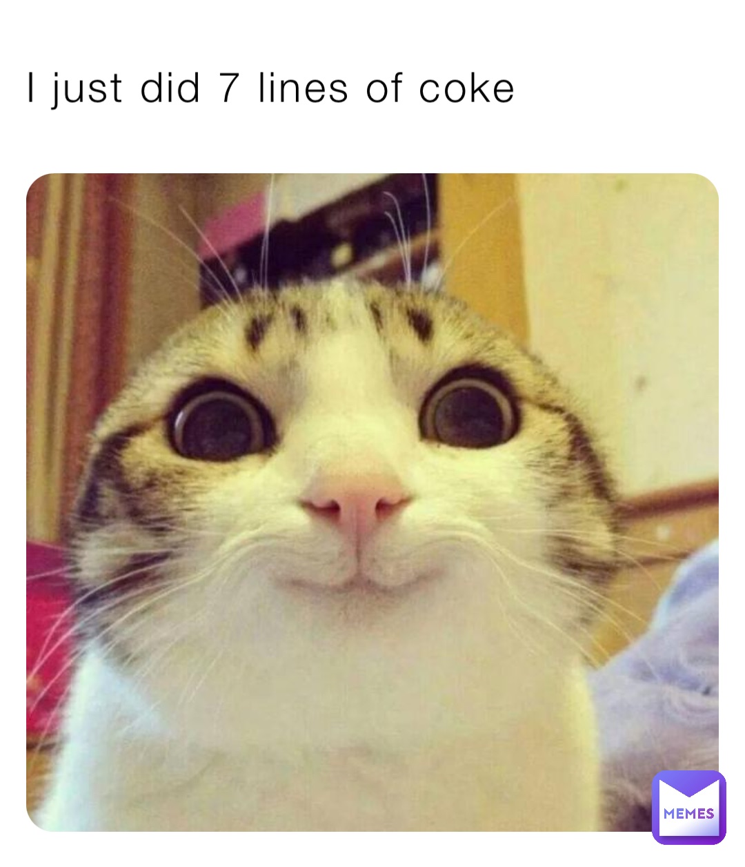 I just did 7 lines of coke