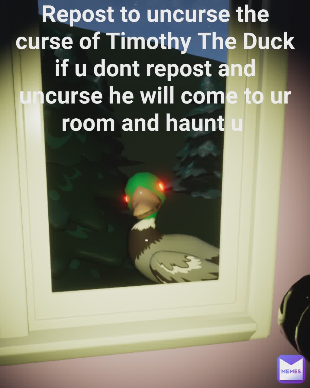 Type Text Repost to uncurse the curse of Timothy The Duck
if u dont repost and uncurse he will come to ur room and haunt u 