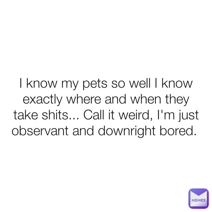 I know my pets so well I know exactly where and when they take shits... Call it weird, I'm just observant and downright bored. 