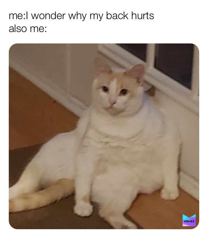 Meme by trashpanda874