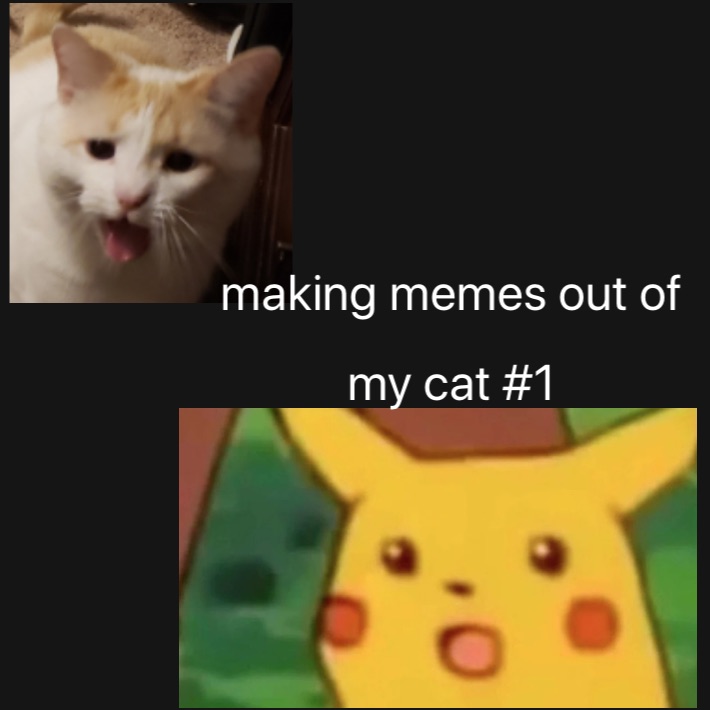 Meme by trashpanda874