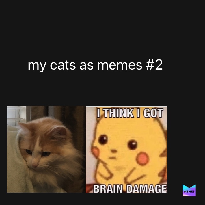 Meme by trashpanda874