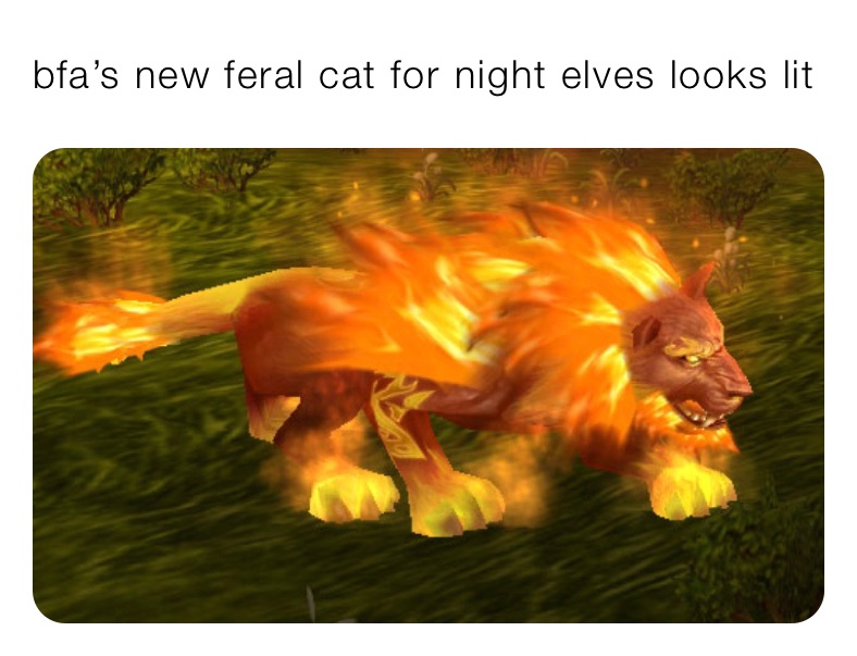 bfa’s new feral cat for night elves looks lit | @NoFucksGivenMemer | Memes