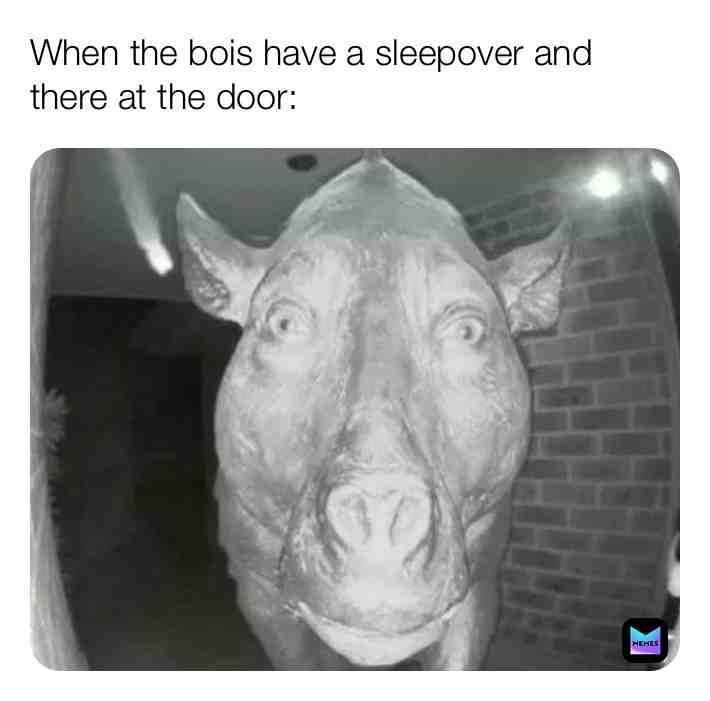 Meme preview