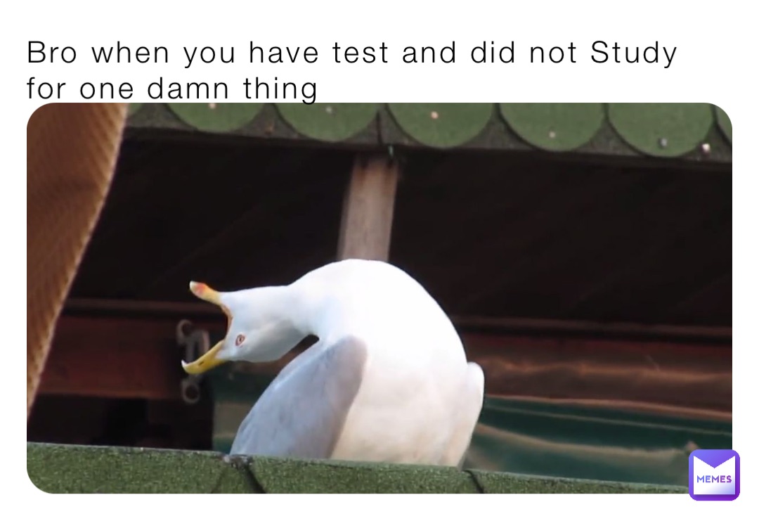 Bro when you have test and did not Study for one damn thing