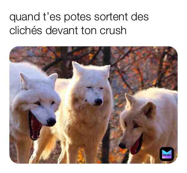 Meme shared by @mateoshl