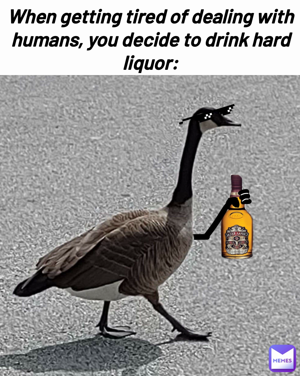 When getting tired of dealing with humans, you decide to drink hard liquor: