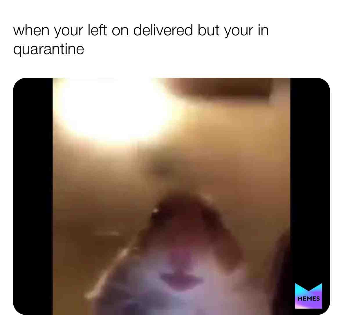 Meme shared by @fatrat_82