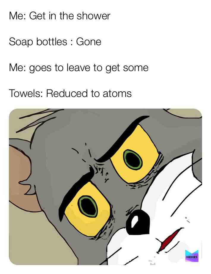 Meme shared by @Papa_Peli