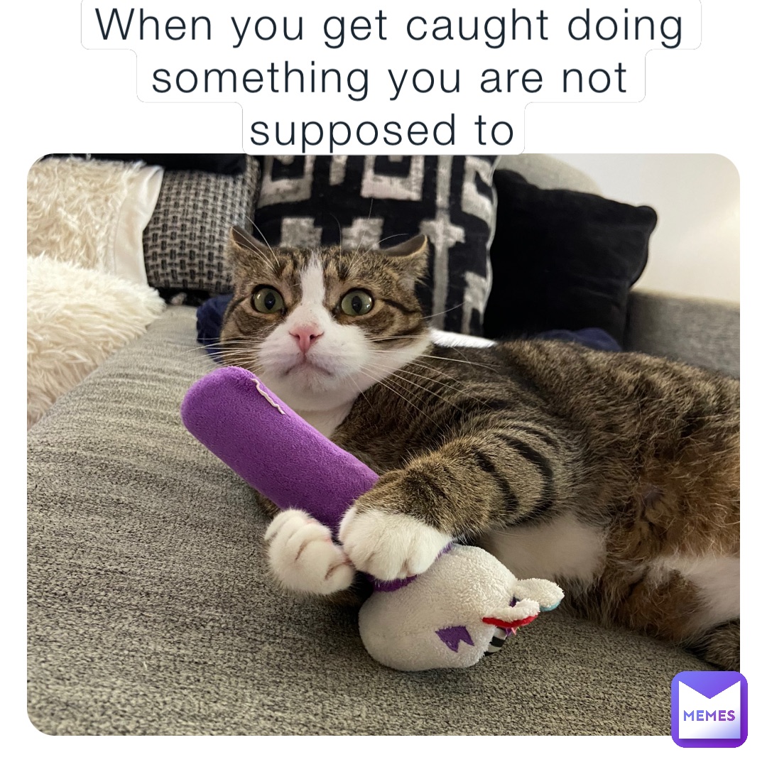 Meme by dylansmustang