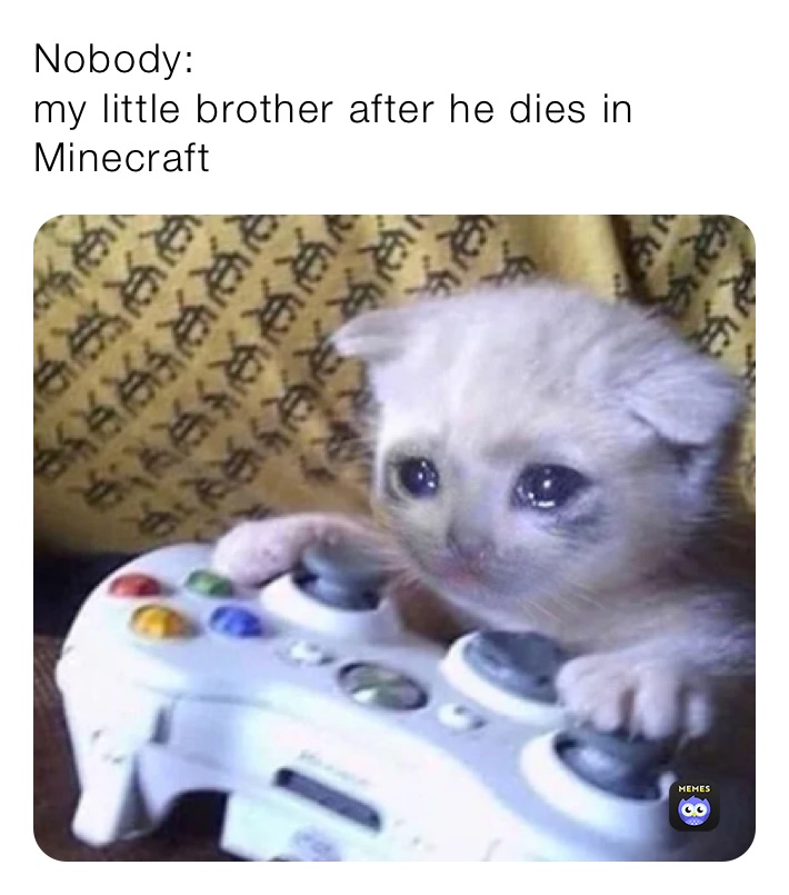 Meme by hello_imma_weeb