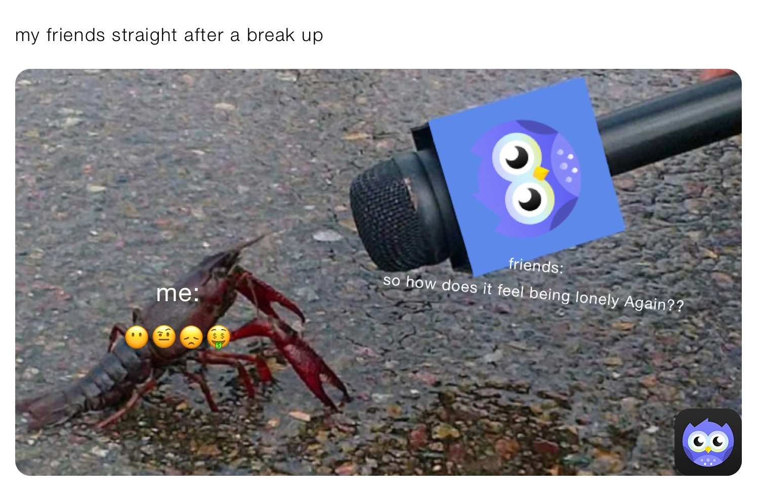 my friends straight after a break up