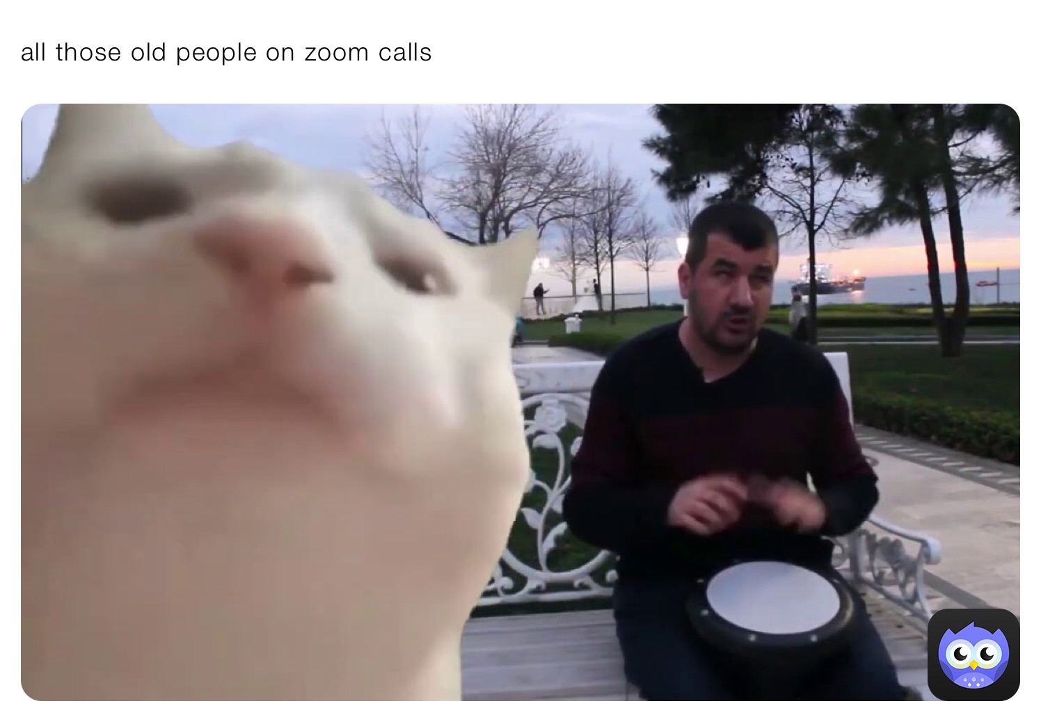 all those old people on zoom calls