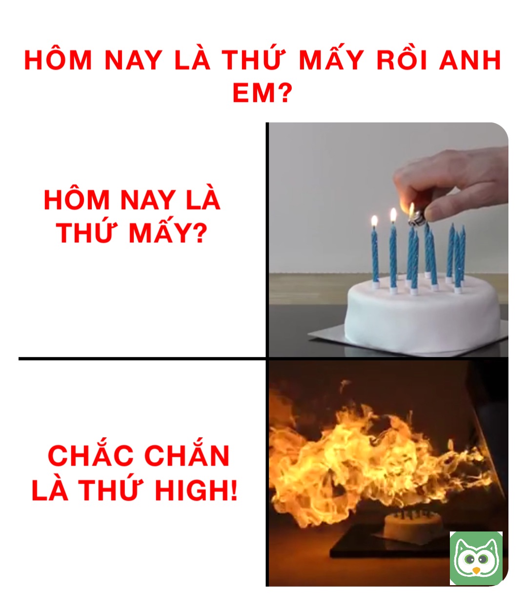 HÔM NAY LÀ THỨ MẤY RỒI ANH EM? HÔM NAY LÀ THỨ MẤY? CHẮC CHẮN LÀ THỨ HIGH!