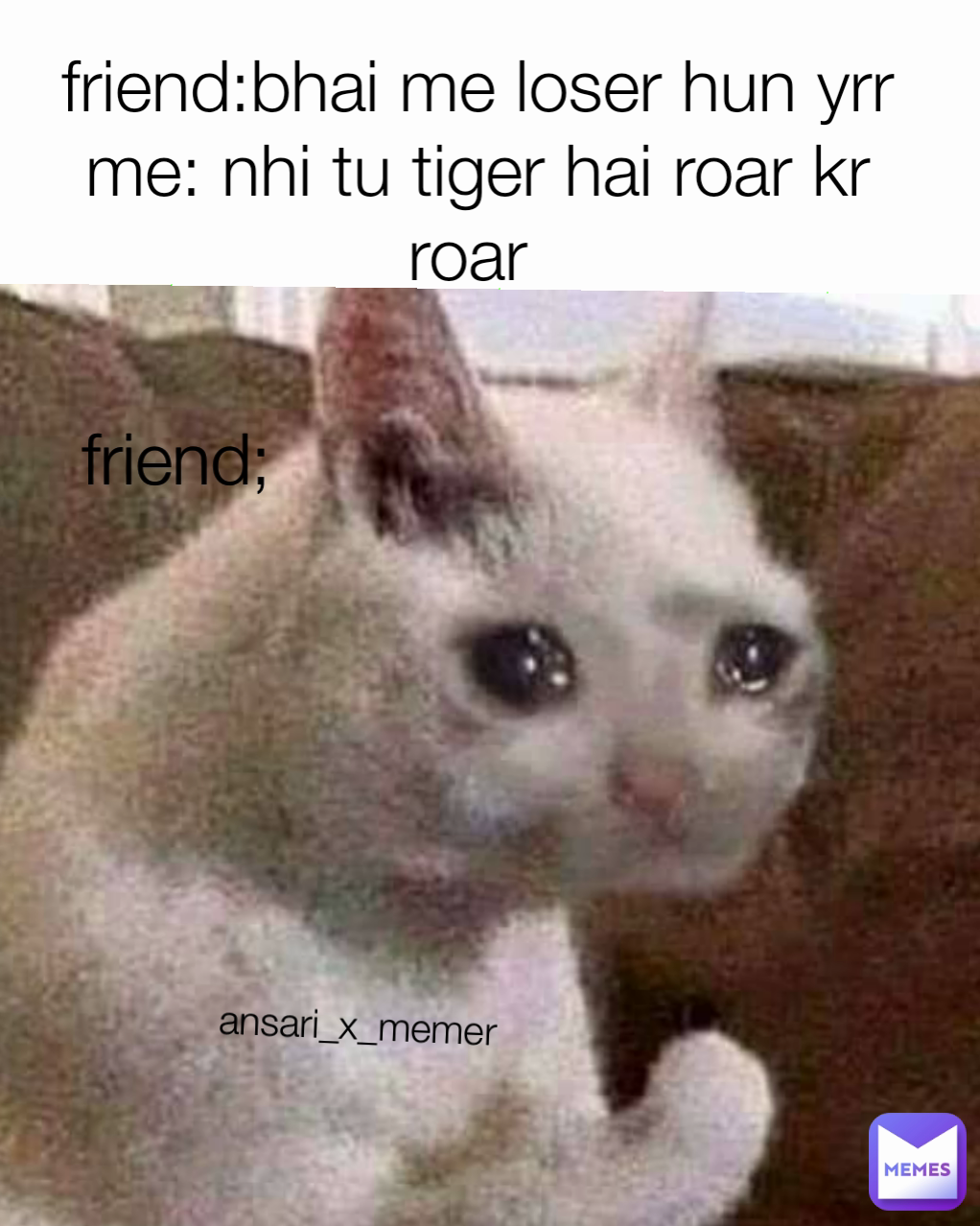 ansari_x_memer friend:bhai me loser hun yrr
me: nhi tu tiger hai roar kr roar  friend;