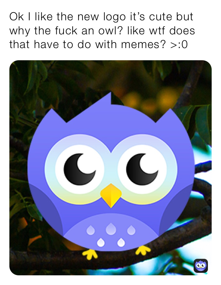 Ok I like the new logo it’s cute but why the fuck an owl? like wtf does that have to do with memes? >:0