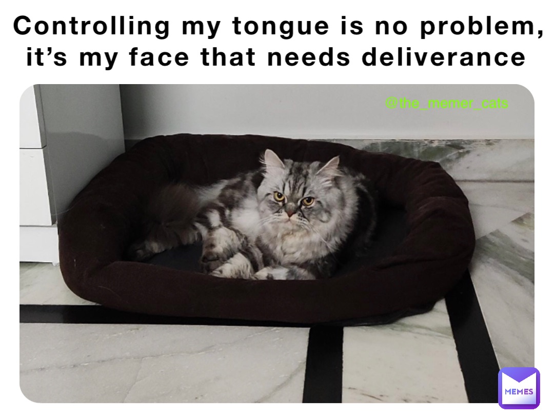 Controlling my tongue is no problem, it’s my face that needs deliverance @the_memer_cats