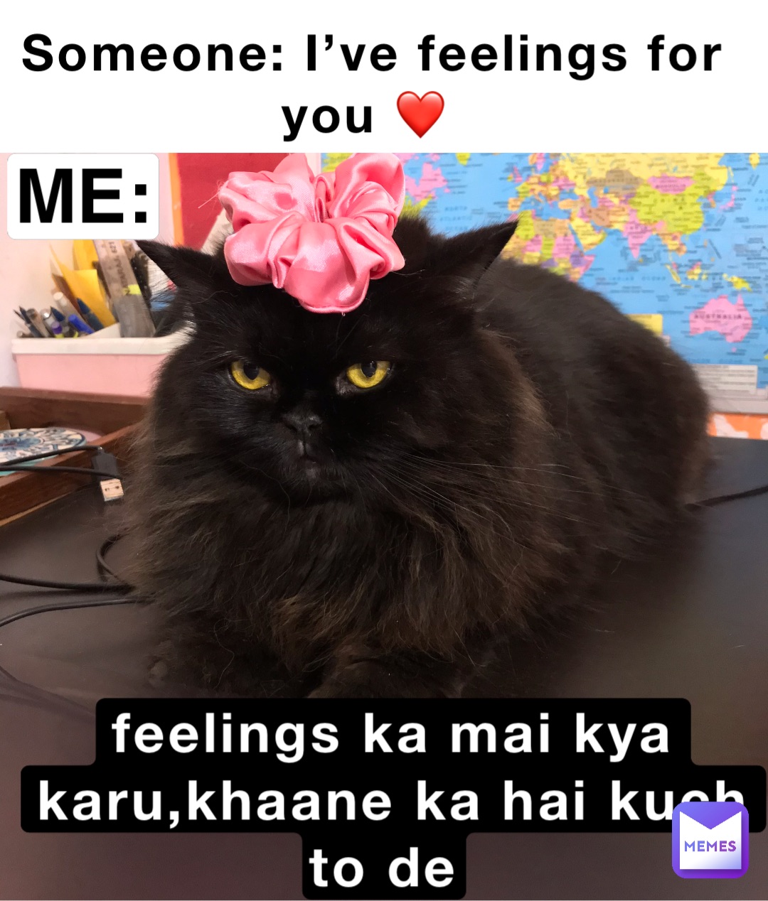 Meme by The_memer_cats