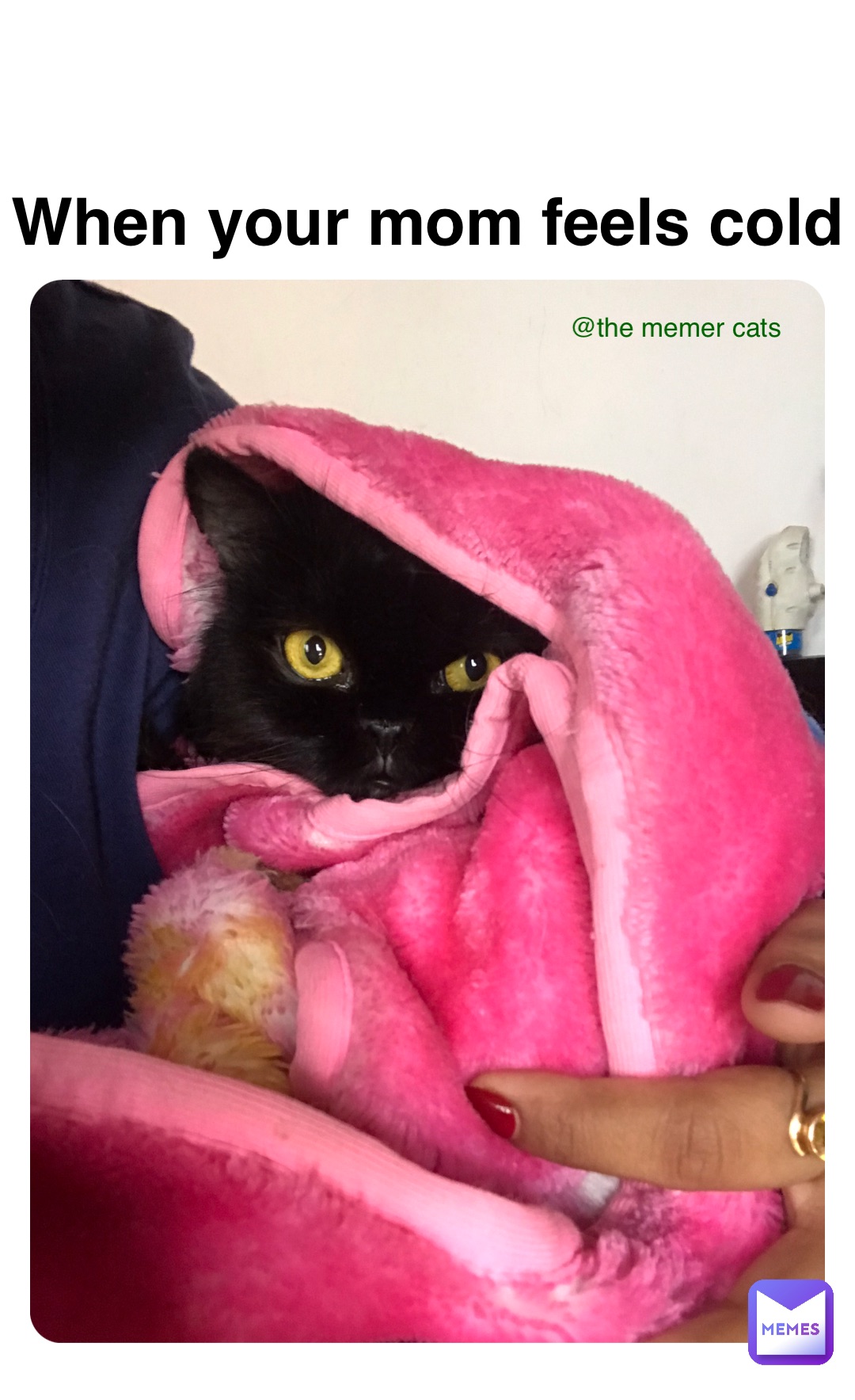 Meme by The_memer_cats