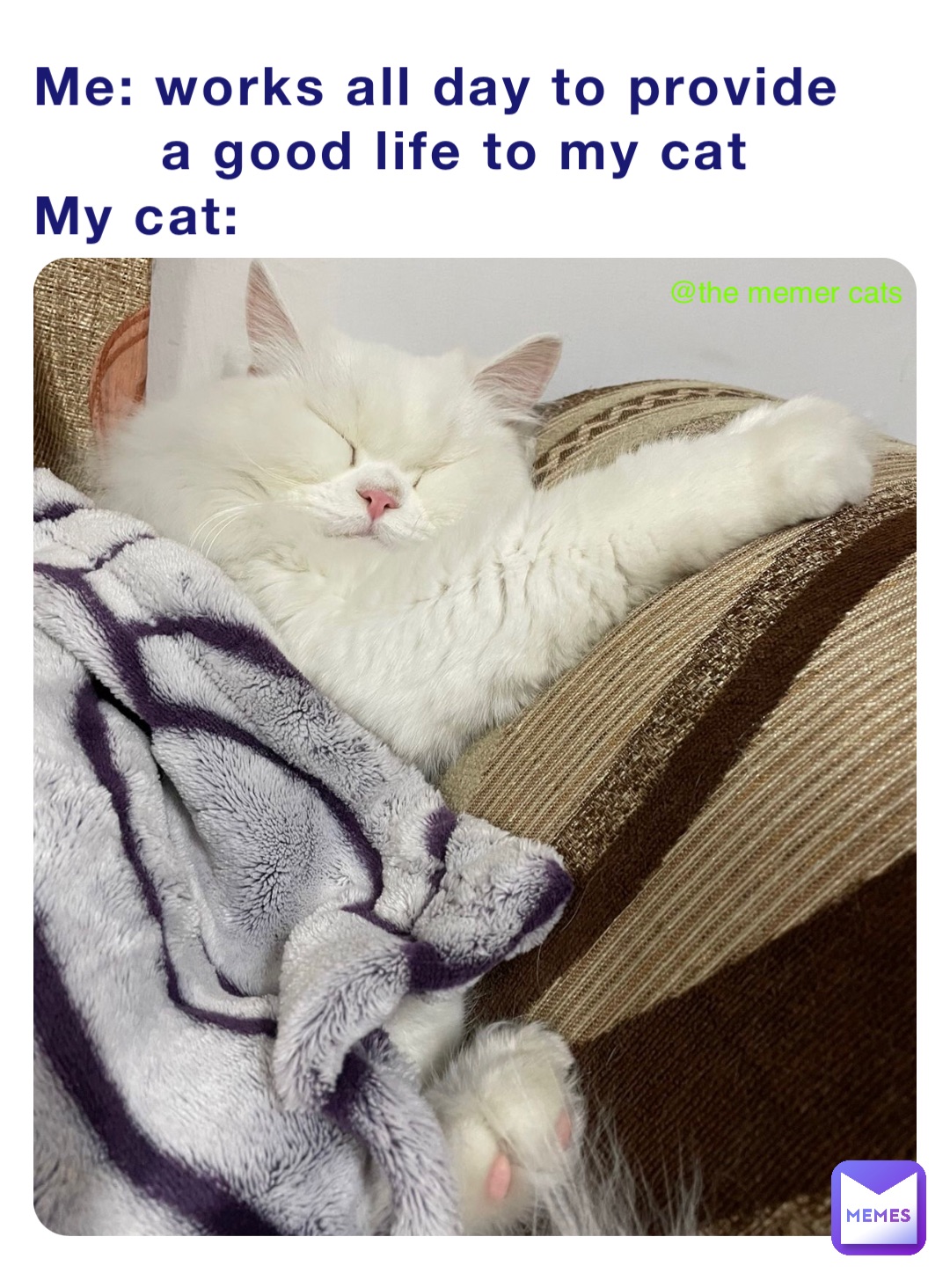 Meme by The_memer_cats