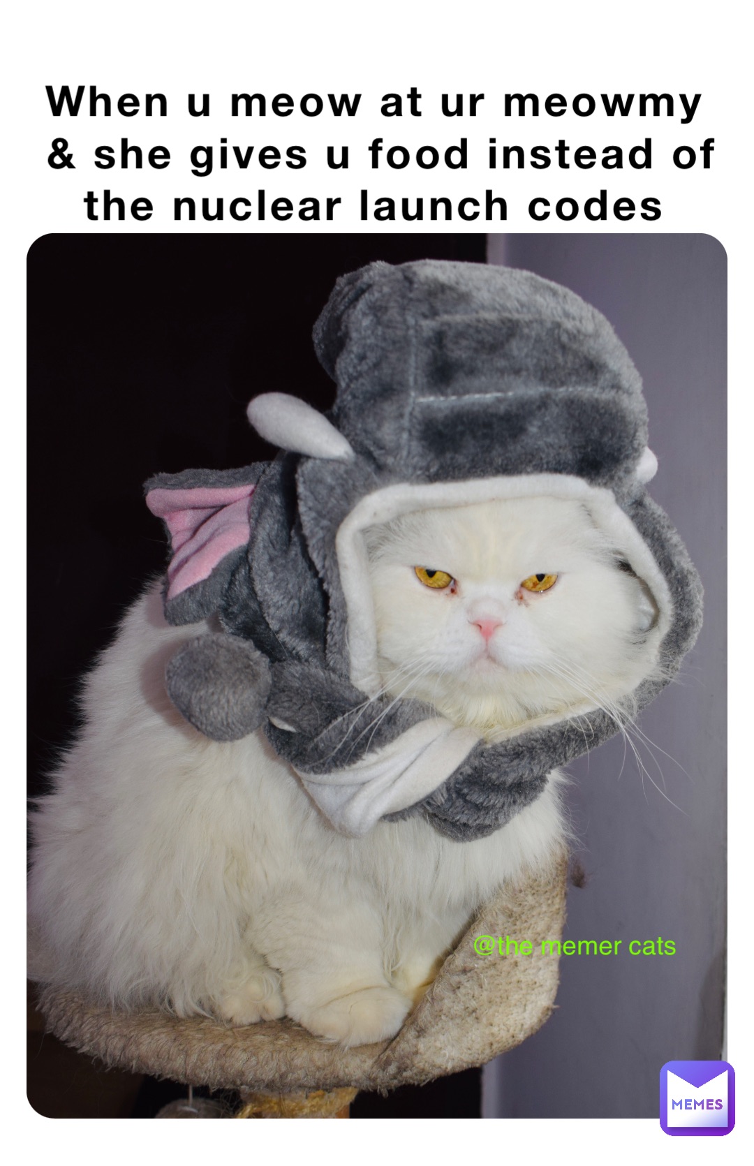 Meme by The_memer_cats