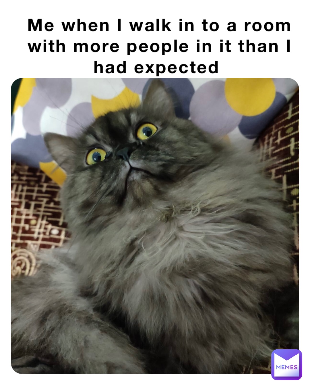 Meme by The_memer_cats