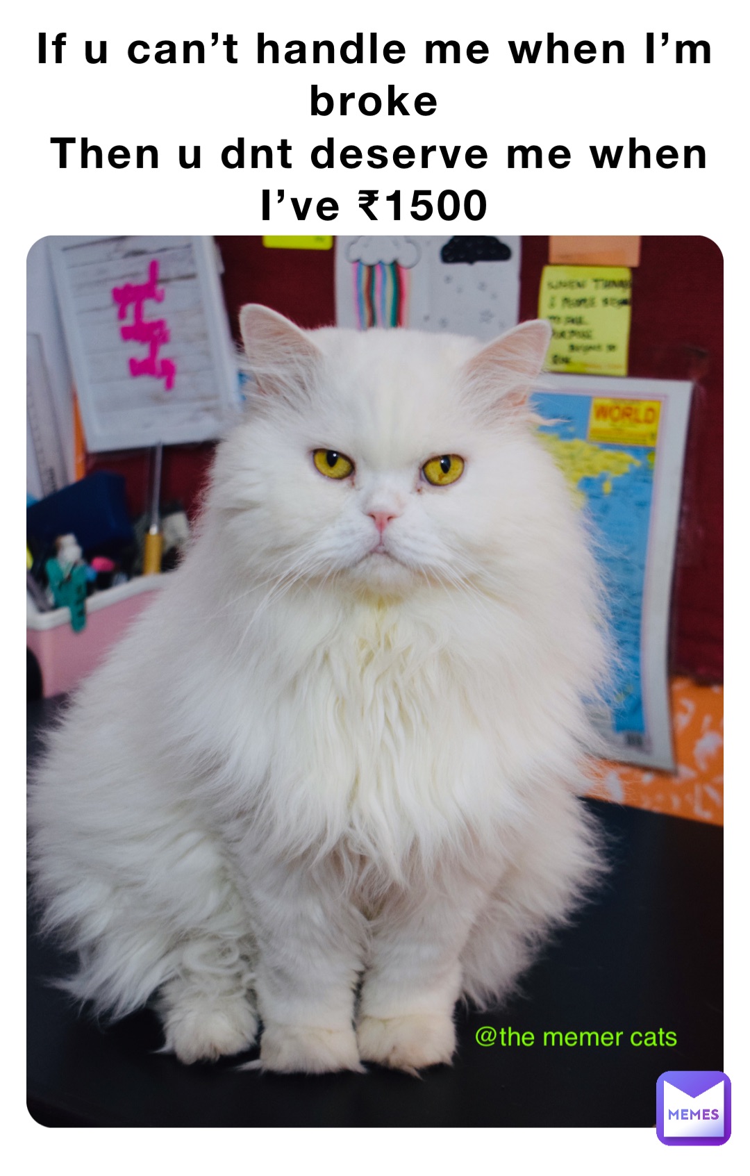 Meme by The_memer_cats