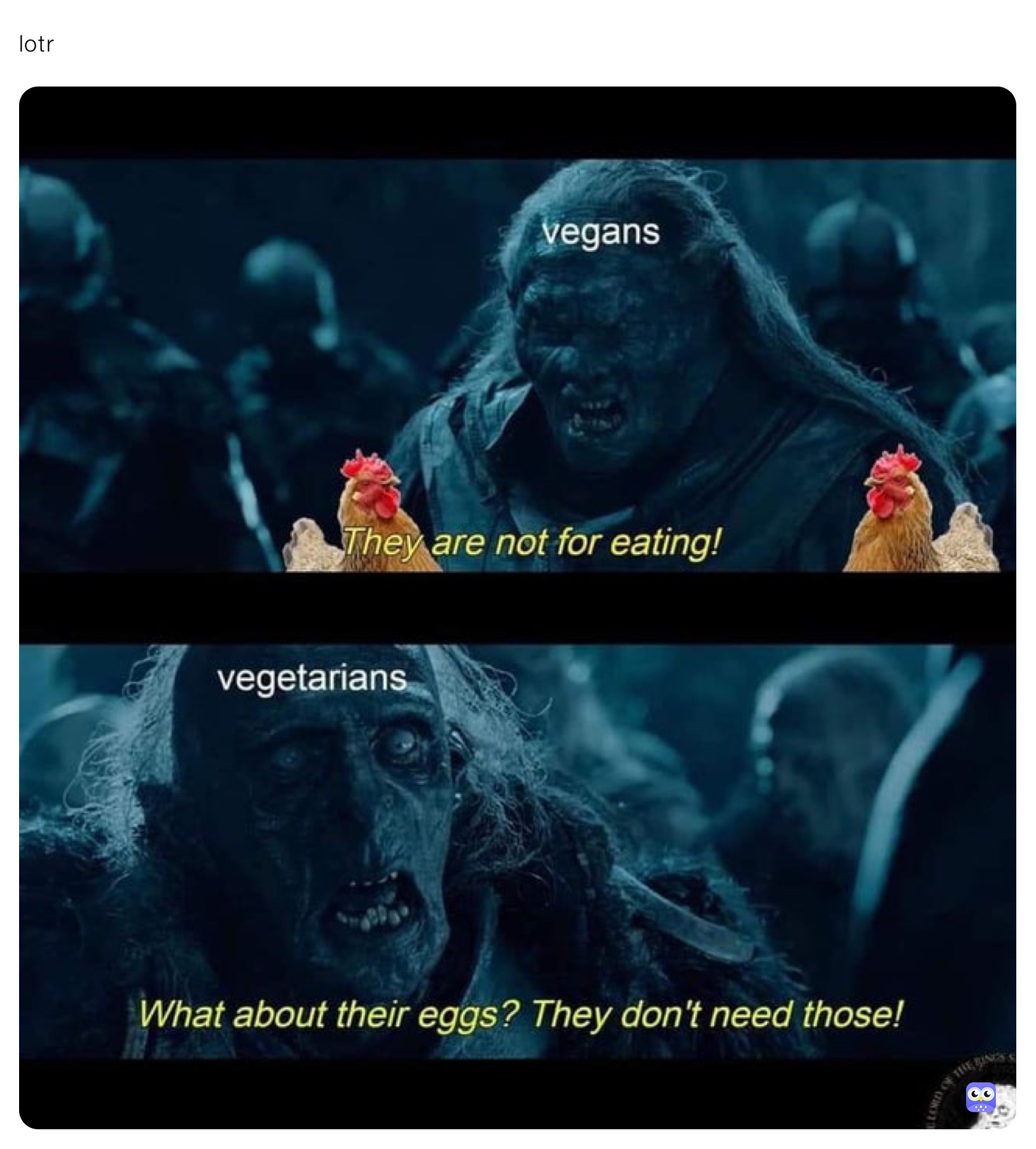 lotr 