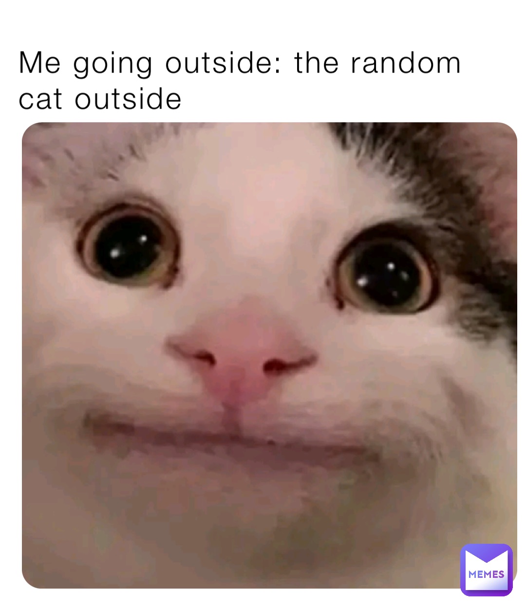 Meme by infinitydragonu779