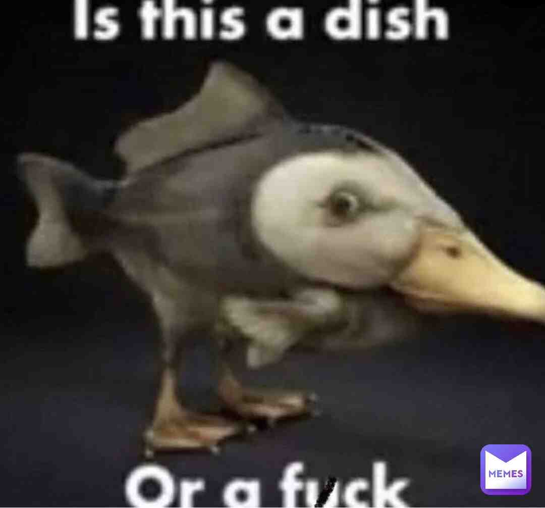 Meme shared by @Drippy_Chicken