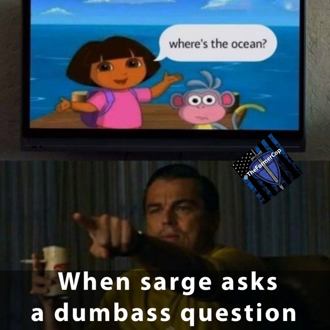 When Sarge asks 
a dumbass question