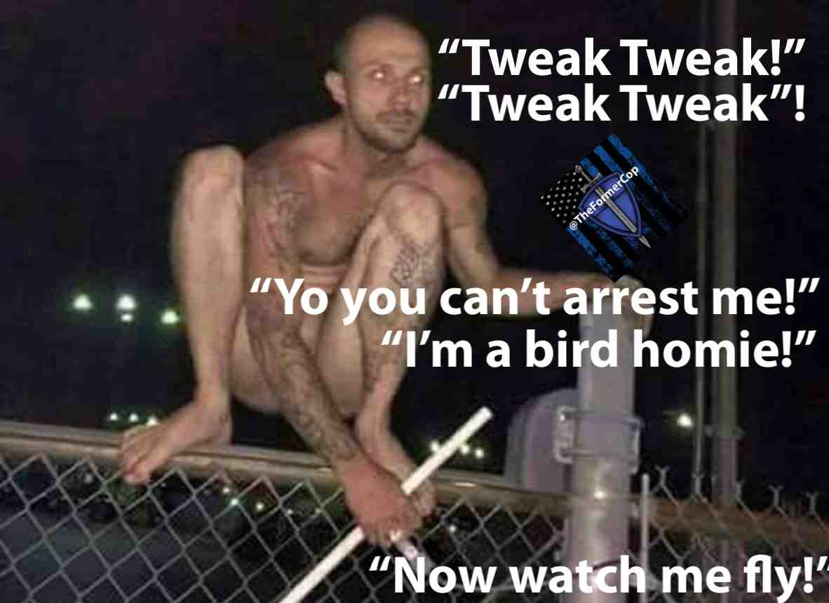 #police #cops #livepd #badge #trooper #highwaypatrol #sheriff #deputy #salary #bills #thethinblueline #thinblueline #supportlawenforcement #bluelivesmatter #justice #atlanta #la #losangeles #minneapolis #deputysheriff #smart #acab #onduty #supportlawenforcement #robbery #burglary #uniform #america #unitedstates #usa🇺🇸 #unite #backtheblue #BlackLivesMatter #blm #america #unitedstates #4thofjuly #fourthofjuly #independenceday #skunk #opossum #trump #secondammendment #gun #guns #washington #crownvic #crownvics #tahoe #charger #explorer #robbery #theft #murder #backtheblue #cruise #alllivesmatter #bluelivesmatter #floyd #georgefloyd #tweak #tweakers #tweaking #methmostly #meth