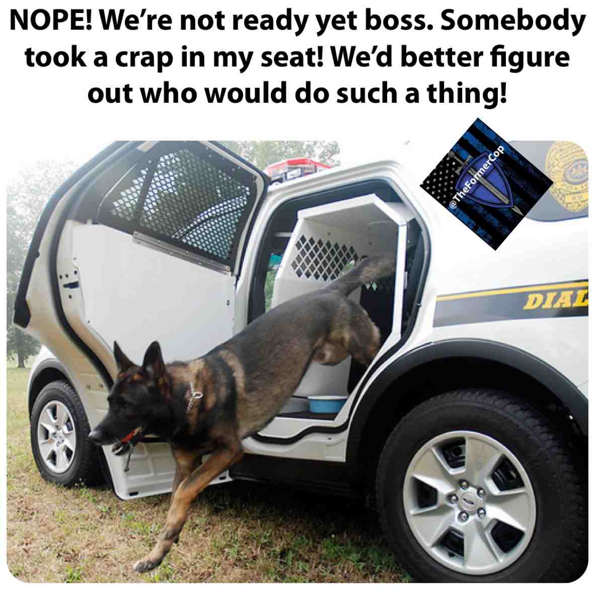 #police #cops #livepd #badge #trooper #highwaypatrol #sheriff #deputy #salary #bills #thethinblueline #thinblueline #supportlawenforcement #bluelivesmatter #justice #atlanta #la #losangeles #minneapolis #deputysheriff #smart #acab #onduty #supportlawenforcement #robbery #burglary #uniform #america #unitedstates #usa🇺🇸 #unite #backtheblue #BlackLivesMatter #blm #america #unitedstates #4thofjuly #fourthofjuly #independenceday #skunk #opossum #trump #secondammendment #gun #guns #washington #crownvic #crownvics #tahoe #charger #explorer #robbery #theft #murder #backtheblue #cruise #alllivesmatter #bluelivesmatter #COVID #COVID19 #ACAB