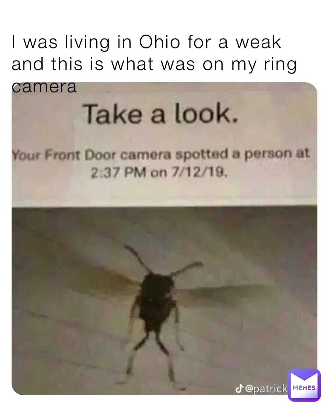 I was living in Ohio for a weak and this is what was on my ring camera