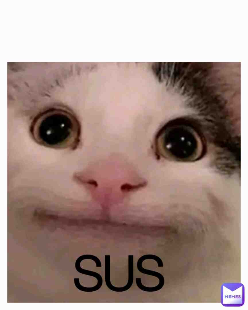 Meme shared by @s2016375