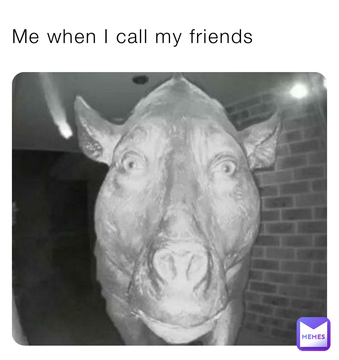 Me when I call my friends