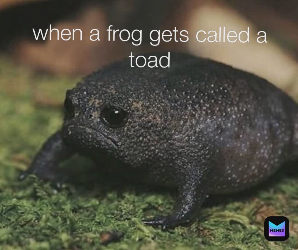 Meme by greatest_meme