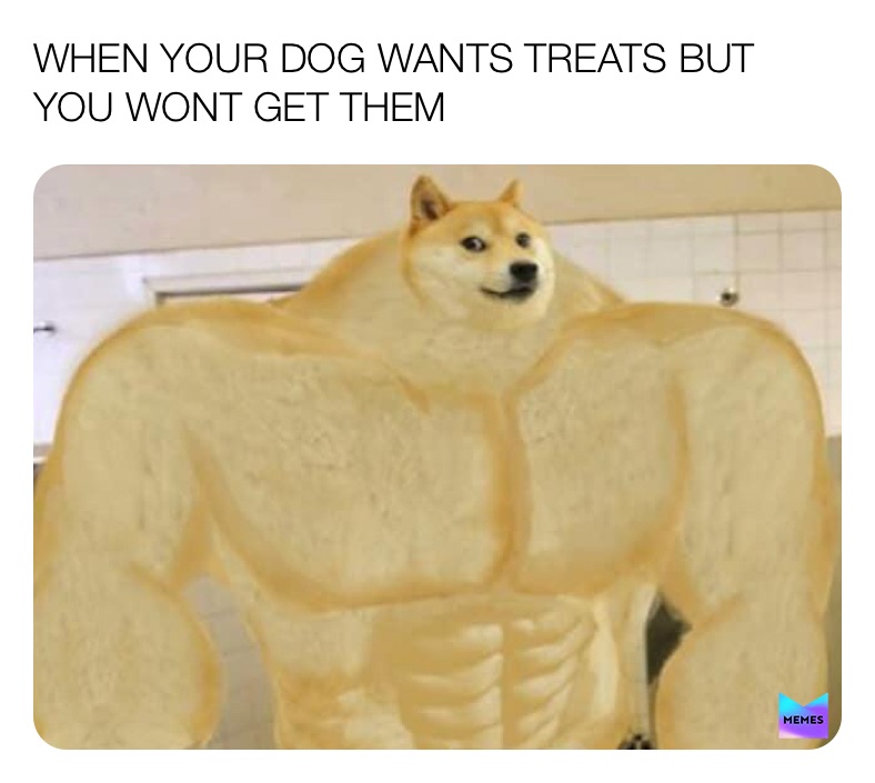 Meme by frostie_edits