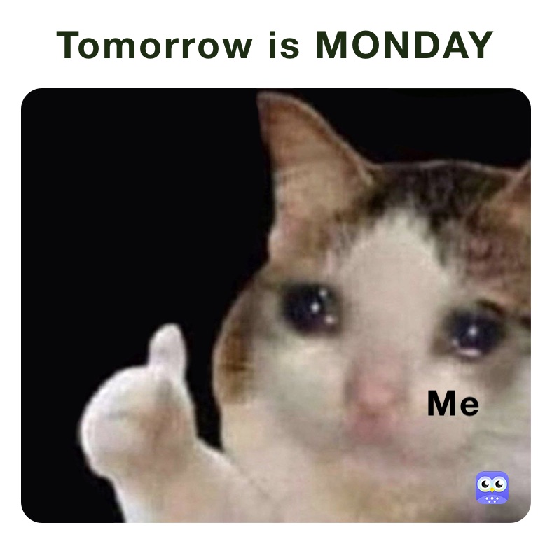 tomorrow is monday meme