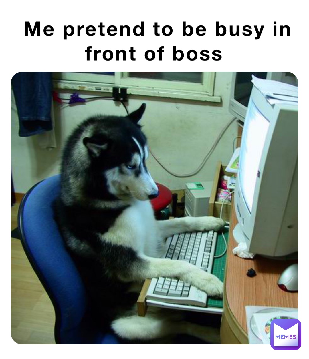 Me pretend to be busy in front of boss