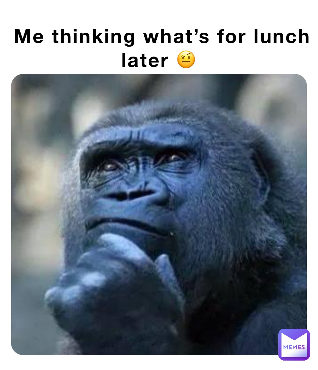 Me thinking what’s for lunch later 🤨