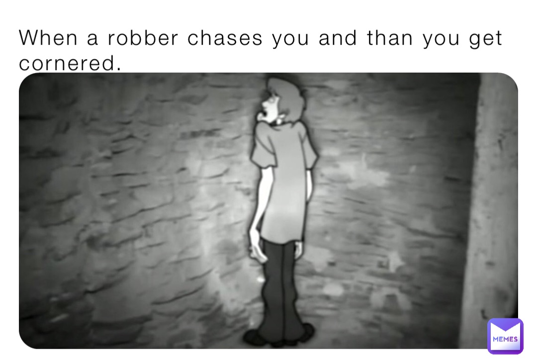 When a robber chases you and than you get cornered. | @TheMemeinator69
