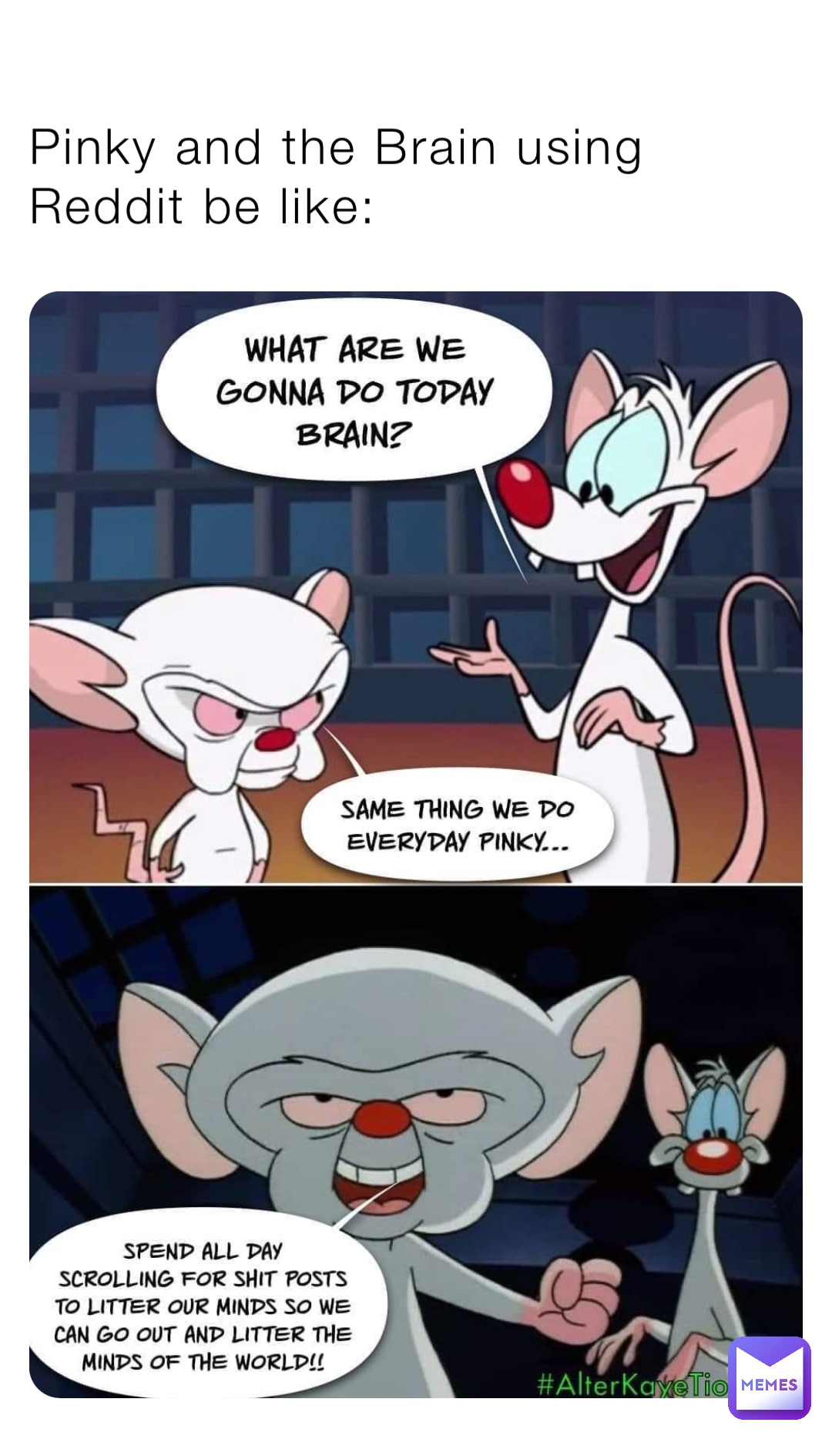 Pinky and the Brain using Reddit be like: