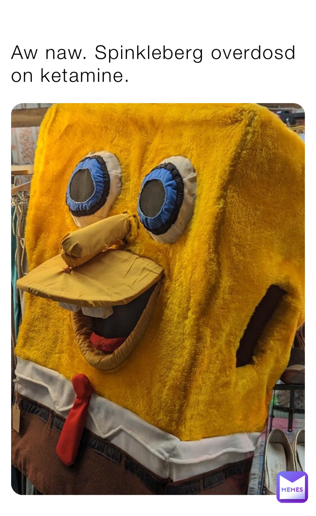 Aw naw. Spinkleberg overdosd on ketamine.