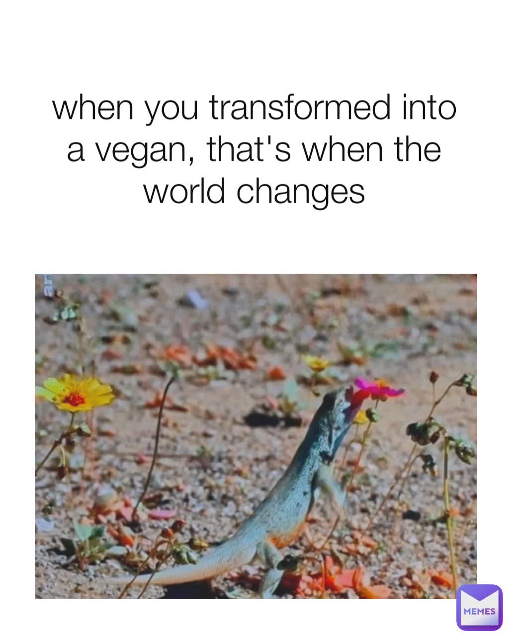 when you transformed into a vegan, that's when the world changes