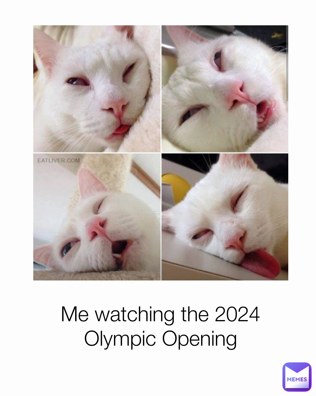 Me watching the 2024 Olympic Opening
