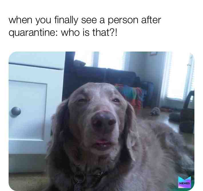 Meme shared by @mememaster72828