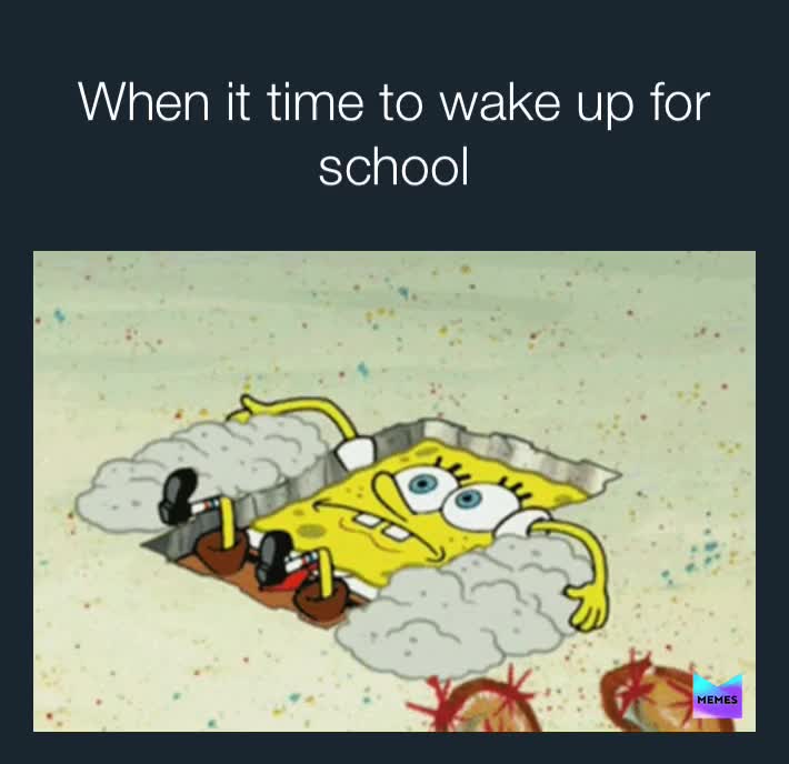Meme shared by @mememaster72828